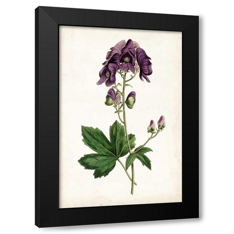 Lavender Florals I Black Modern Wood Framed Art Print with Double Matting by Curtis