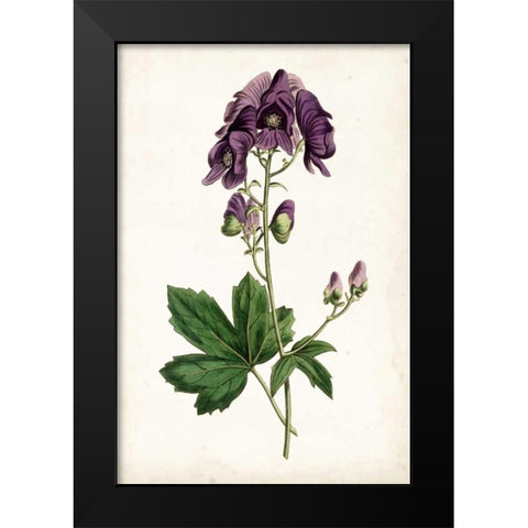 Lavender Florals I Black Modern Wood Framed Art Print by Curtis