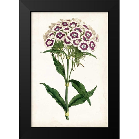 Lavender Florals II Black Modern Wood Framed Art Print by Curtis