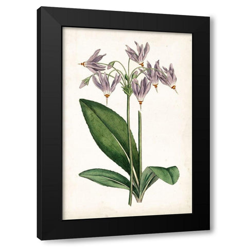 Lavender Florals III Black Modern Wood Framed Art Print with Double Matting by Curtis