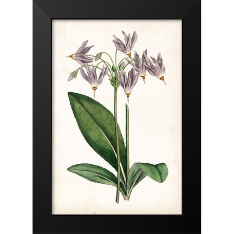 Lavender Florals III Black Modern Wood Framed Art Print by Curtis