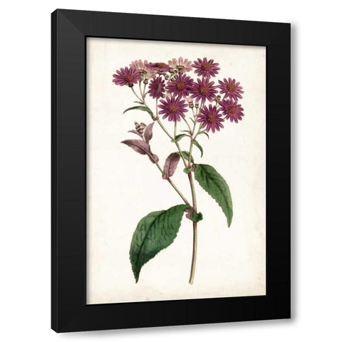 Lavender Florals IV Black Modern Wood Framed Art Print by Curtis