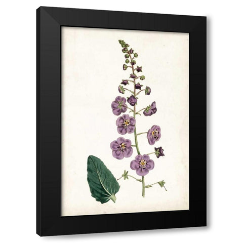 Lavender Florals VI Black Modern Wood Framed Art Print by Curtis