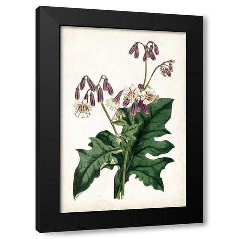 Lavender Florals VII Black Modern Wood Framed Art Print by Curtis