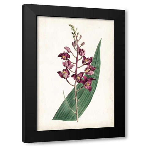 Lavender Florals VIII Black Modern Wood Framed Art Print by Curtis