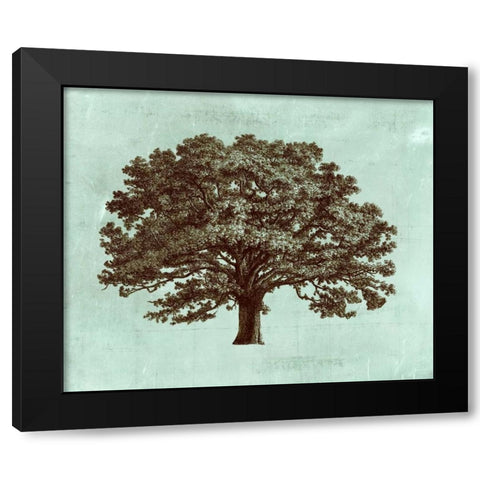 Spa Tree I Black Modern Wood Framed Art Print with Double Matting by Vision Studio