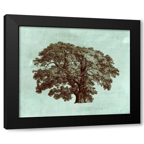Spa Tree II Black Modern Wood Framed Art Print with Double Matting by Vision Studio
