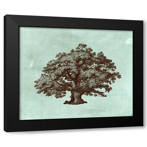 Spa Tree III Black Modern Wood Framed Art Print with Double Matting by Vision Studio