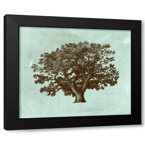 Spa Tree IV Black Modern Wood Framed Art Print with Double Matting by Vision Studio