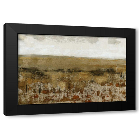 Afternoon Glow II Black Modern Wood Framed Art Print by OToole, Tim