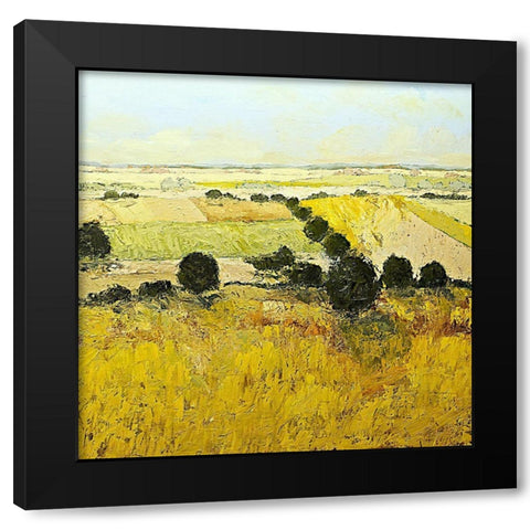 Summer End Black Modern Wood Framed Art Print by Friedlander, Allan
