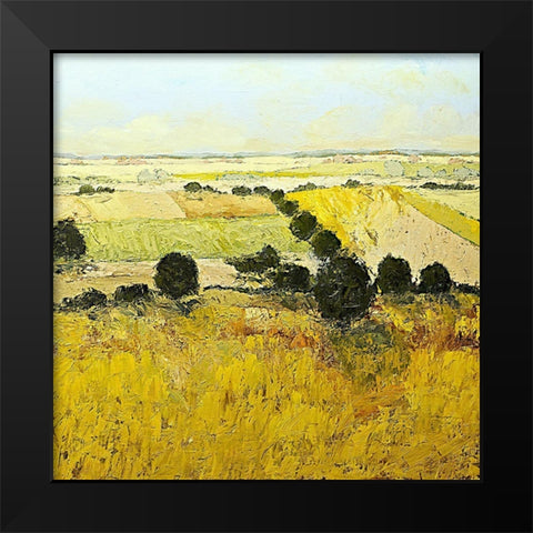 Summer End Black Modern Wood Framed Art Print by Friedlander, Allan