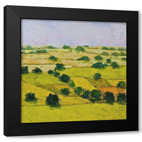 Dusty Meadows Black Modern Wood Framed Art Print with Double Matting by Friedlander, Allan