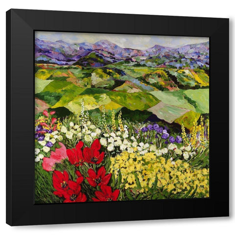 High Mountain Patch Black Modern Wood Framed Art Print with Double Matting by Friedlander, Allan