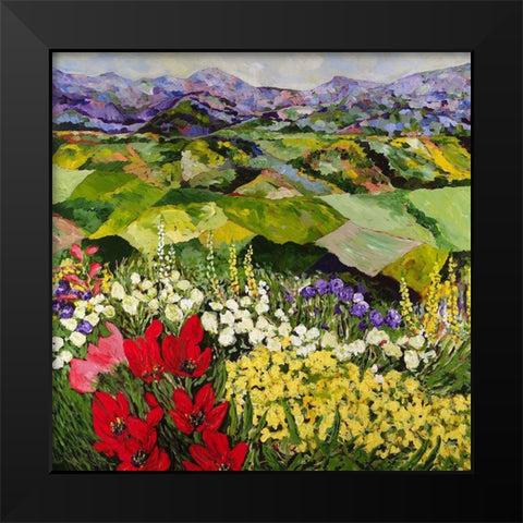 High Mountain Patch Black Modern Wood Framed Art Print by Friedlander, Allan