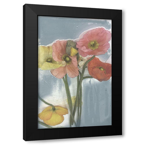 Poppy Spray II Black Modern Wood Framed Art Print with Double Matting by Goldberger, Jennifer