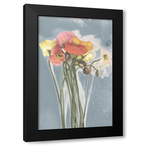 Poppy Spray III Black Modern Wood Framed Art Print with Double Matting by Goldberger, Jennifer