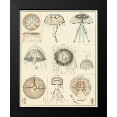 Jellyfish Display Black Modern Wood Framed Art Print by Oken