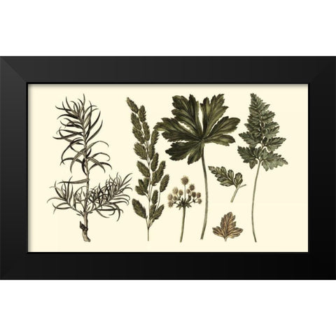 Fern Leaf Folio II Black Modern Wood Framed Art Print by Oeder, Georg C.