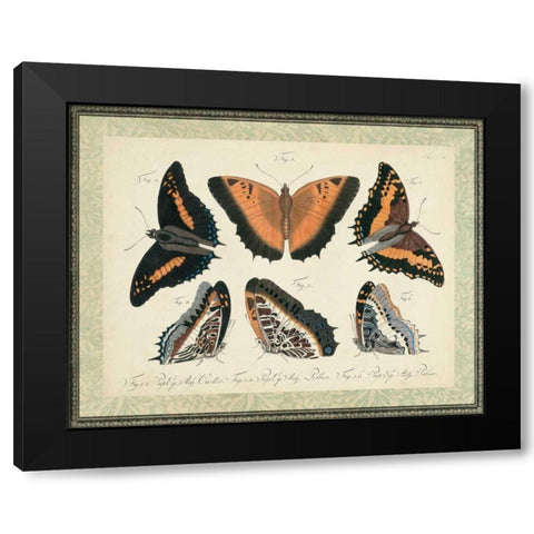 Bookplate Butterflies Trio I Black Modern Wood Framed Art Print with Double Matting by Vision Studio