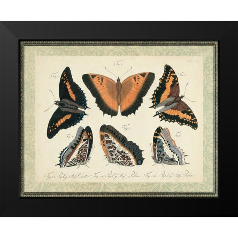 Bookplate Butterflies Trio I Black Modern Wood Framed Art Print by Vision Studio