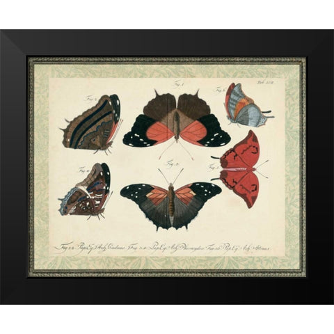 Bookplate Butterflies Trio II Black Modern Wood Framed Art Print by Vision Studio