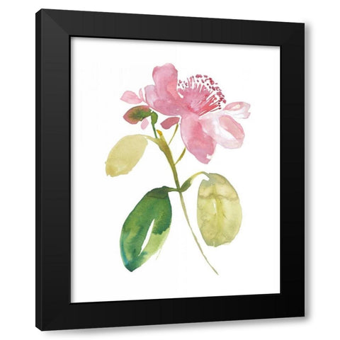 Watercolor Garden I Black Modern Wood Framed Art Print by Mosley, Kiana