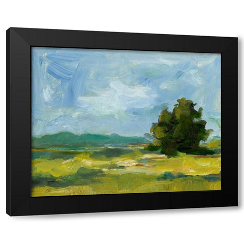 Field Color Study II Black Modern Wood Framed Art Print by Harper, Ethan