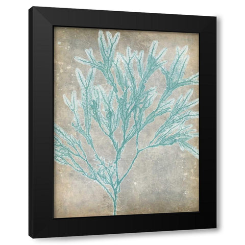 Spa Seaweed I Black Modern Wood Framed Art Print with Double Matting by Goldberger, Jennifer