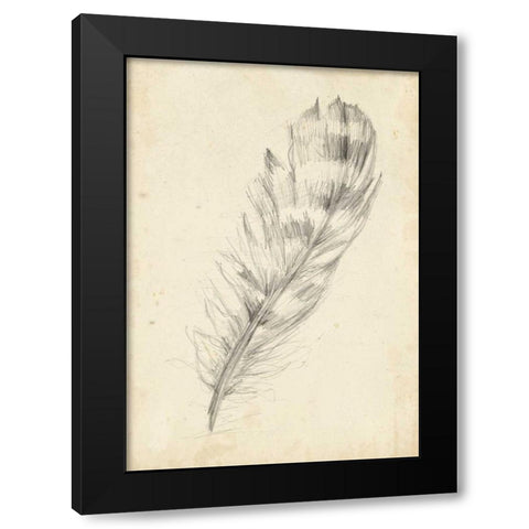 Feather Sketch II Black Modern Wood Framed Art Print by Harper, Ethan