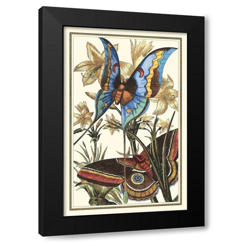 Butterfly I Black Modern Wood Framed Art Print by Vision Studio