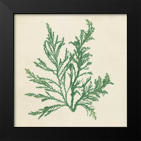 Chromatic Seaweed I Black Modern Wood Framed Art Print by Vision Studio