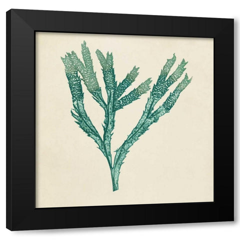 Chromatic Seaweed III Black Modern Wood Framed Art Print with Double Matting by Vision Studio