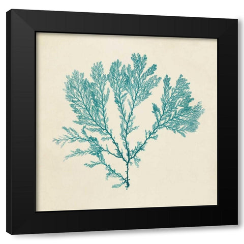 Chromatic Seaweed VIII Black Modern Wood Framed Art Print with Double Matting by Vision Studio