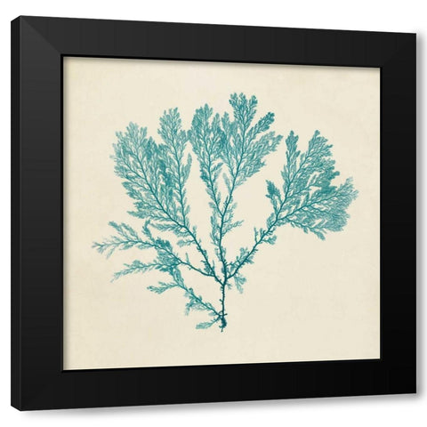 Chromatic Seaweed VIII Black Modern Wood Framed Art Print by Vision Studio