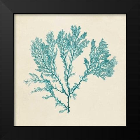 Chromatic Seaweed VIII Black Modern Wood Framed Art Print by Vision Studio