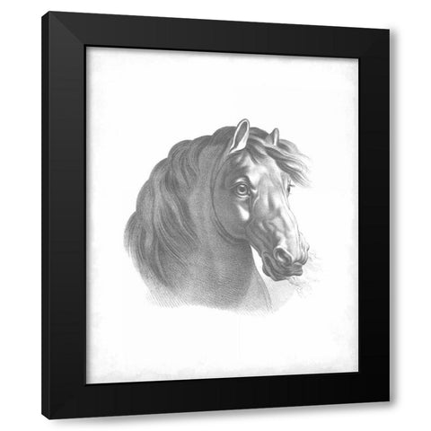 Equestrian Blueprint II Black Modern Wood Framed Art Print with Double Matting by Vision Studio
