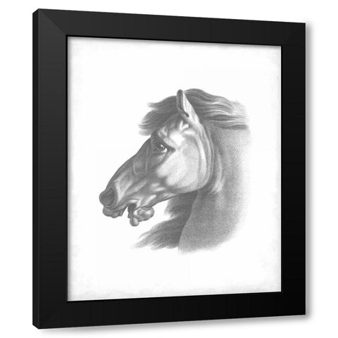 Equestrian Blueprint III Black Modern Wood Framed Art Print with Double Matting by Vision Studio