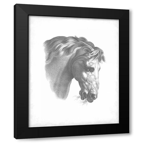 Equestrian Blueprint IV Black Modern Wood Framed Art Print with Double Matting by Vision Studio