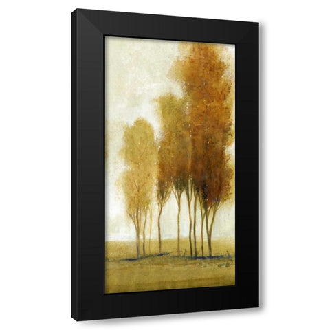 Balance II Black Modern Wood Framed Art Print by OToole, Tim