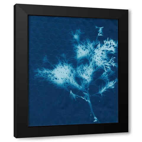 Cyanotype No.3 Black Modern Wood Framed Art Print by Stramel, Renee W.
