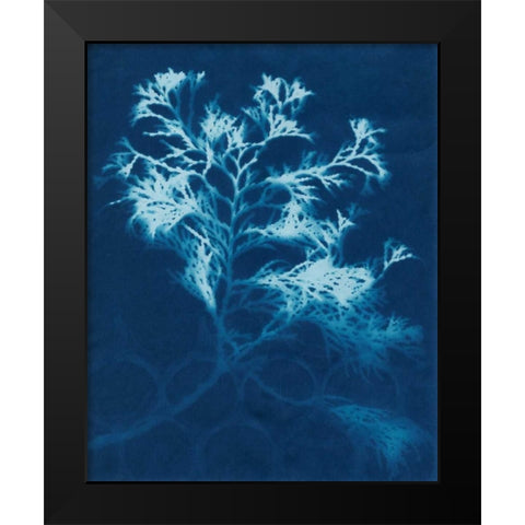 Cyanotype No.4 Black Modern Wood Framed Art Print by Stramel, Renee W.