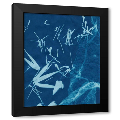 Cyanotype No.6 Black Modern Wood Framed Art Print by Stramel, Renee W.