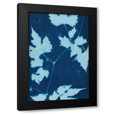Cyanotype No.9 Black Modern Wood Framed Art Print by Stramel, Renee W.