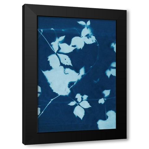 Cyanotype No.11 Black Modern Wood Framed Art Print by Zarris, Chariklia