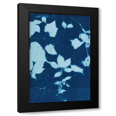 Cyanotype No.12 Black Modern Wood Framed Art Print by Zarris, Chariklia