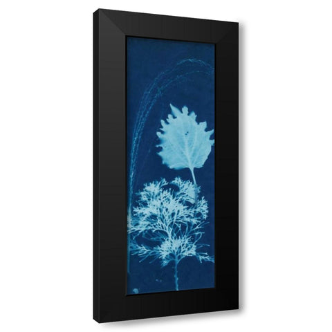 Cyanotype No.13 Black Modern Wood Framed Art Print by Guthrie, Jenna