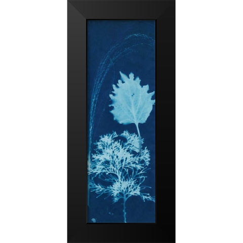 Cyanotype No.13 Black Modern Wood Framed Art Print by Guthrie, Jenna