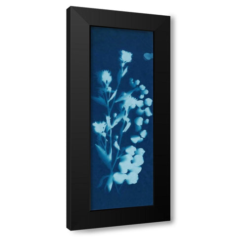 Cyanotype No.14 Black Modern Wood Framed Art Print with Double Matting by Guthrie, Jenna