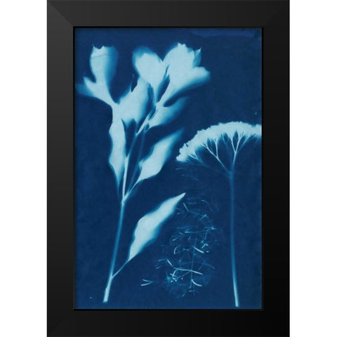 Cyanotype No.15 Black Modern Wood Framed Art Print by Guthrie, Jenna